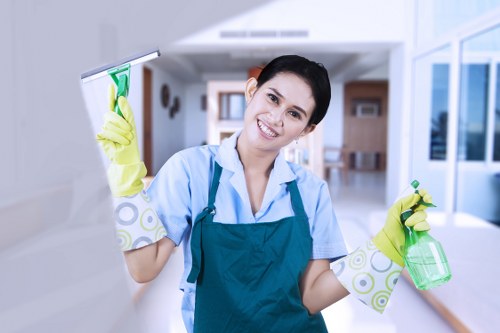 Balham carpet cleaning process removing dirt from a busy home carpet