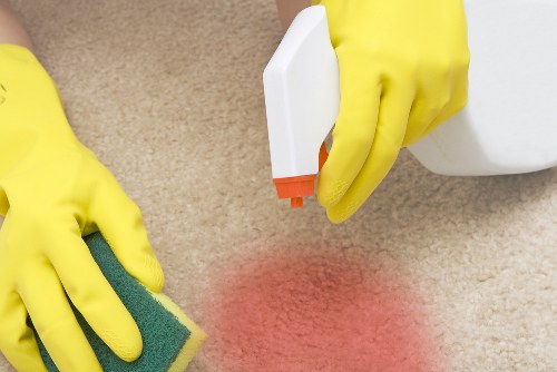 Carpet cleaning terms and conditions document introduction