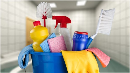 Careful cleaning process for rugs in a Balham flat