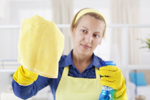 Professional Airbnb cleaning checklist and guest-ready presentation in Balham