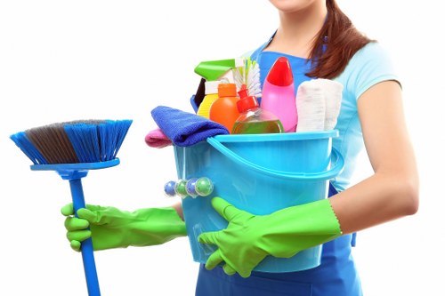 Professional steam carpet cleaning for a Balham living room carpet