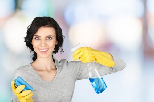 Icons showing cookie categories for a cleaning service website