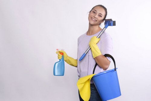 Professional regular cleaning for a Balham office or small business