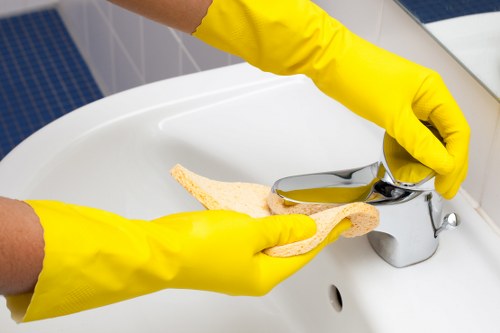 Deep cleaning equipment used for pet stain removal in Balham property